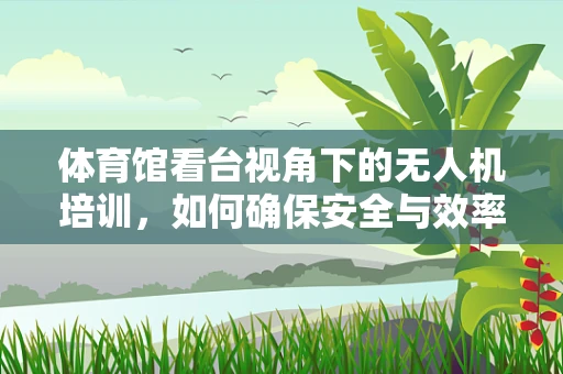 体育馆看台视角下的无人机培训，如何确保安全与效率？