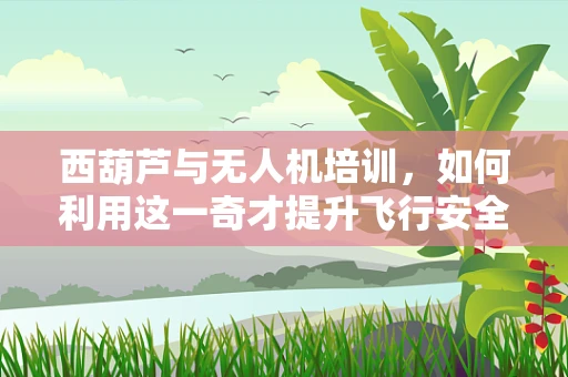 西葫芦与无人机培训，如何利用这一奇才提升飞行安全？