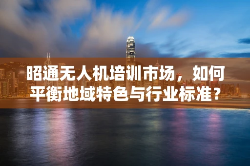 昭通无人机培训市场，如何平衡地域特色与行业标准？