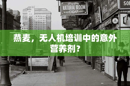 燕麦，无人机培训中的意外营养剂？
