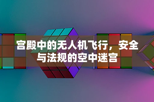 宫殿中的无人机飞行，安全与法规的空中迷宫