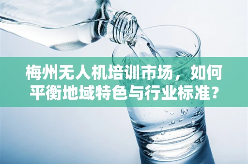 梅州无人机培训市场，如何平衡地域特色与行业标准？