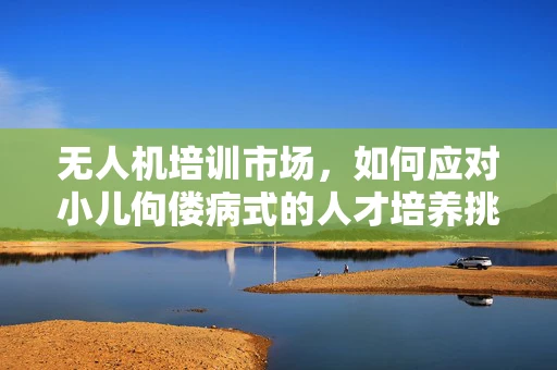 无人机培训市场，如何应对小儿佝偻病式的人才培养挑战？