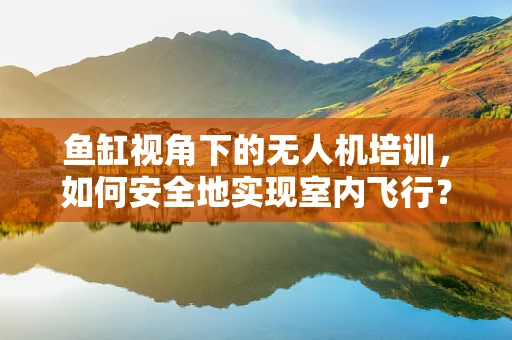 鱼缸视角下的无人机培训，如何安全地实现室内飞行？
