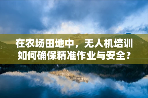 在农场田地中，无人机培训如何确保精准作业与安全？