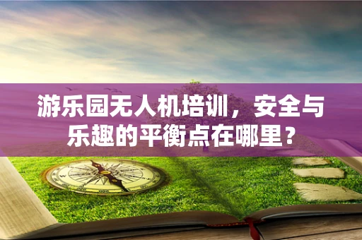 游乐园无人机培训，安全与乐趣的平衡点在哪里？