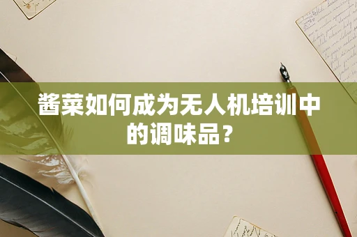 酱菜如何成为无人机培训中的调味品？