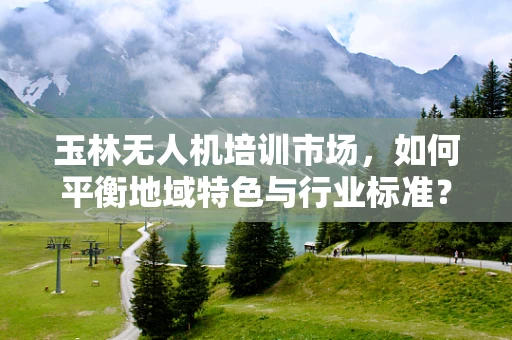 玉林无人机培训市场，如何平衡地域特色与行业标准？