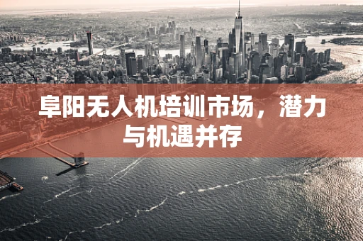 阜阳无人机培训市场，潜力与机遇并存