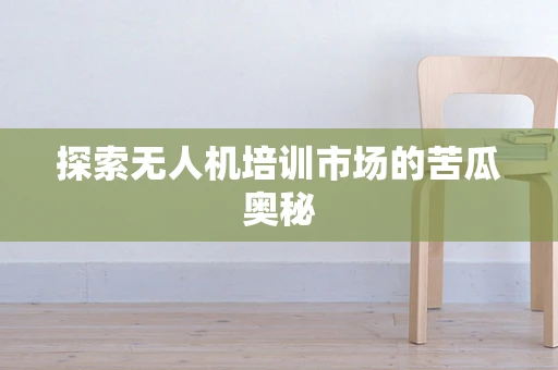 探索无人机培训市场的苦瓜奥秘