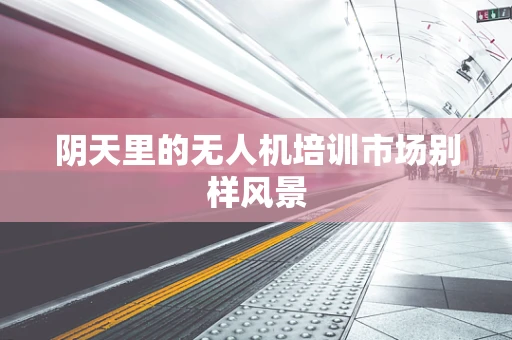 阴天里的无人机培训市场别样风景
