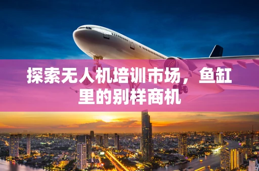 探索无人机培训市场，鱼缸里的别样商机