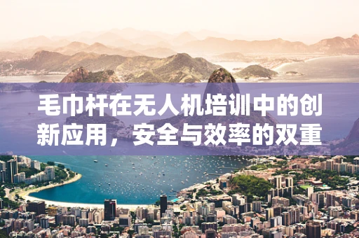 毛巾杆在无人机培训中的创新应用，安全与效率的双重提升？
