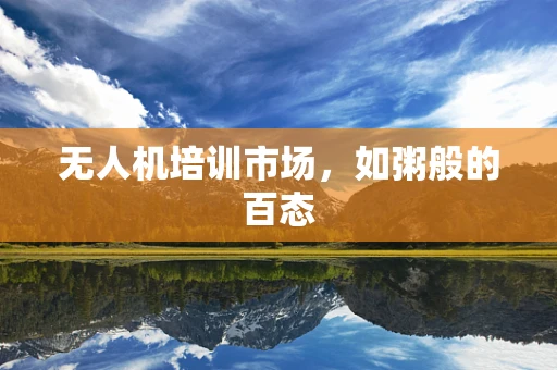 无人机培训市场，如粥般的百态