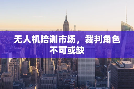 无人机培训市场，裁判角色不可或缺