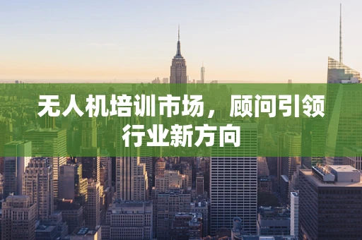 无人机培训市场，顾问引领行业新方向
