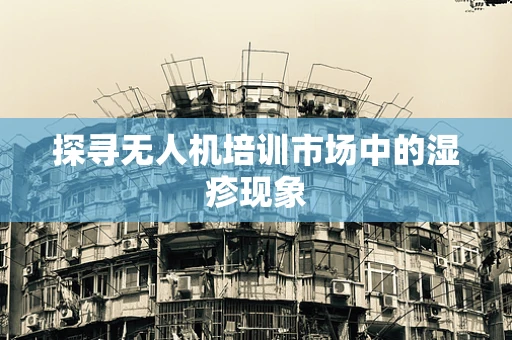 探寻无人机培训市场中的湿疹现象