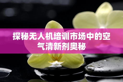 探秘无人机培训市场中的空气清新剂奥秘