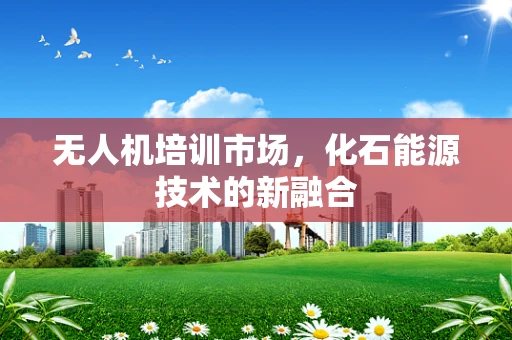 无人机培训市场，化石能源技术的新融合