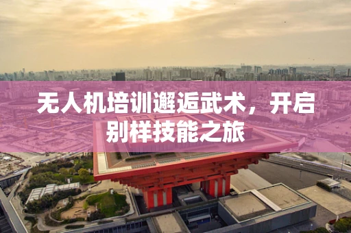 无人机培训邂逅武术，开启别样技能之旅