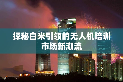 探秘白米引领的无人机培训市场新潮流