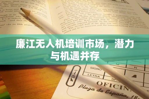 廉江无人机培训市场，潜力与机遇并存
