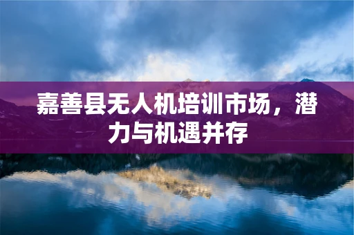 嘉善县无人机培训市场，潜力与机遇并存