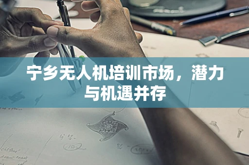 宁乡无人机培训市场，潜力与机遇并存