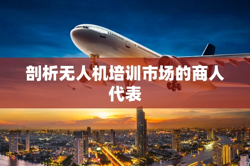 剖析无人机培训市场的商人代表