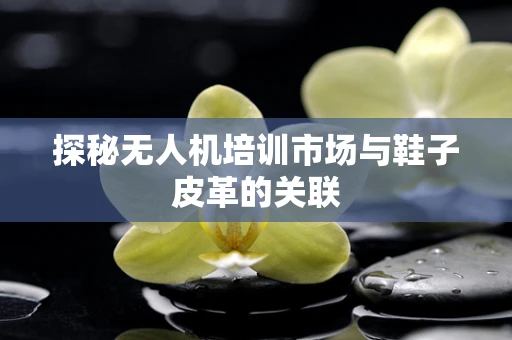 探秘无人机培训市场与鞋子皮革的关联