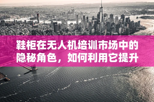 鞋柜在无人机培训市场中的隐秘角色，如何利用它提升安全与效率？