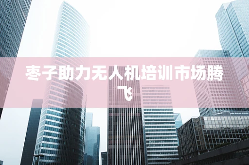 枣子助力无人机培训市场腾飞
