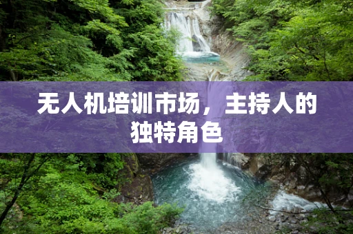 无人机培训市场，主持人的独特角色