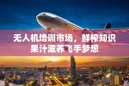 无人机培训市场，鲜榨知识果汁滋养飞手梦想