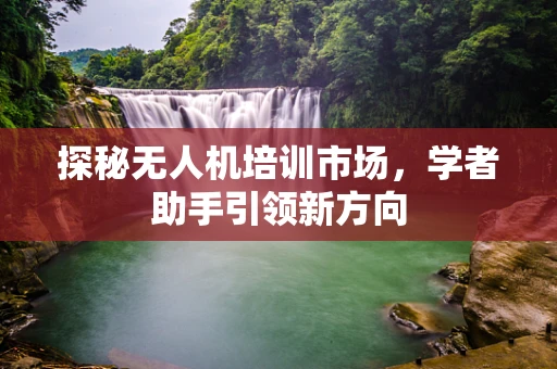 探秘无人机培训市场，学者助手引领新方向