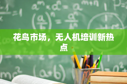花鸟市场，无人机培训新热点