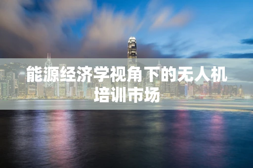 能源经济学视角下的无人机培训市场