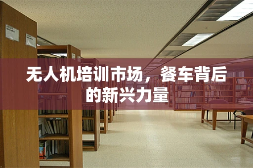 无人机培训市场，餐车背后的新兴力量