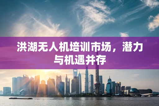 洪湖无人机培训市场，潜力与机遇并存
