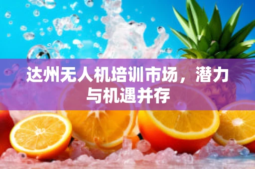 达州无人机培训市场，潜力与机遇并存