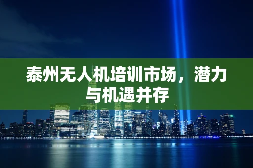 泰州无人机培训市场，潜力与机遇并存