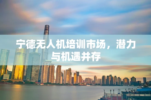 宁德无人机培训市场，潜力与机遇并存