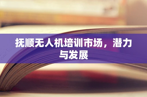 抚顺无人机培训市场，潜力与发展