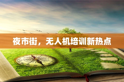 夜市街，无人机培训新热点
