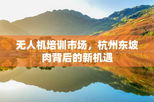 无人机培训市场，杭州东坡肉背后的新机遇