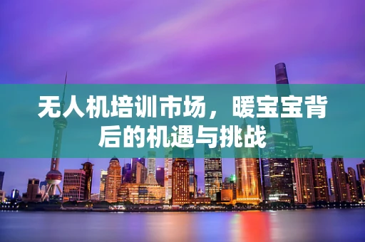 无人机培训市场，暖宝宝背后的机遇与挑战