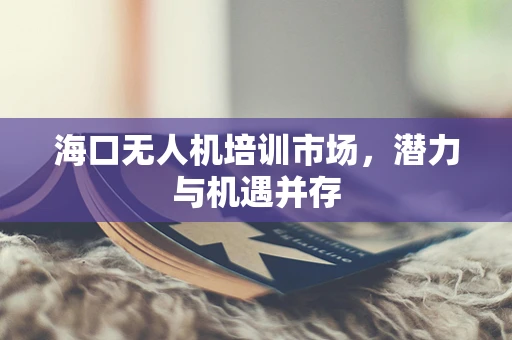 海口无人机培训市场，潜力与机遇并存