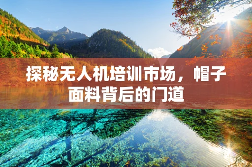 探秘无人机培训市场，帽子面料背后的门道