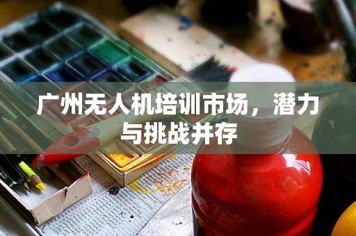 广州无人机培训市场，潜力与挑战并存