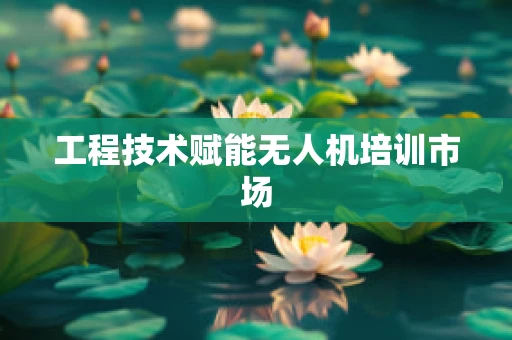 工程技术赋能无人机培训市场